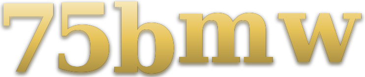 75bmw logo